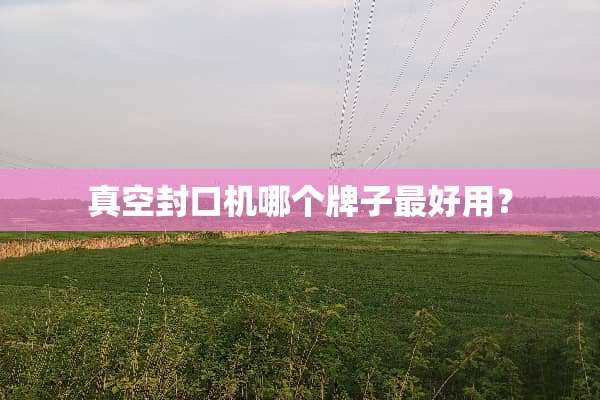 真空封口机哪个牌子最好用？