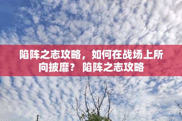 陷阵之志攻略，如何在战场上所向披靡？ 陷阵之志攻略