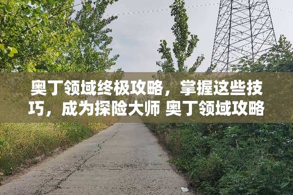 奥丁领域终极攻略，掌握这些技巧，成为探险大师 奥丁领域攻略
