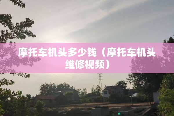 摩托车机头多少钱（摩托车机头维修视频）