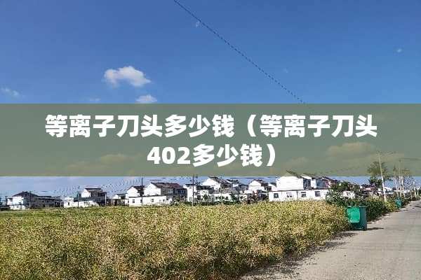 等离子刀头多少钱（等离子刀头402多少钱）