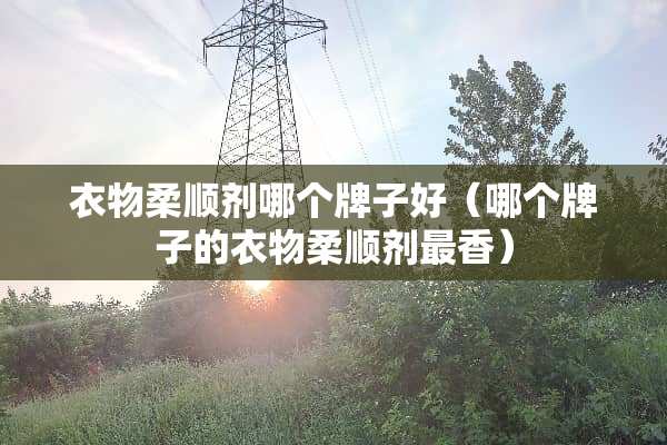 衣物柔顺剂哪个牌子好（哪个牌子的衣物柔顺剂最香）