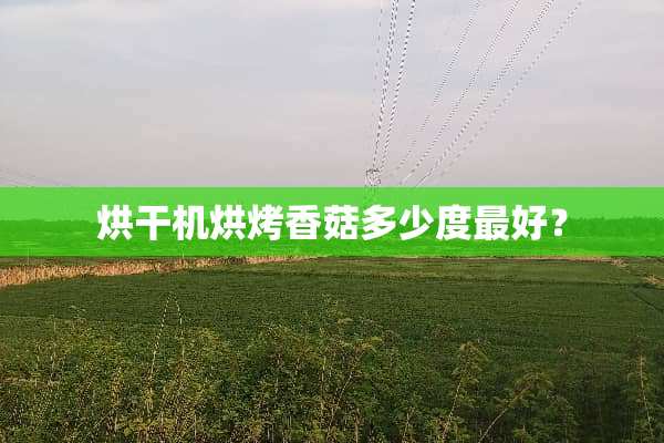 烘干机烘烤香菇多少度最好？