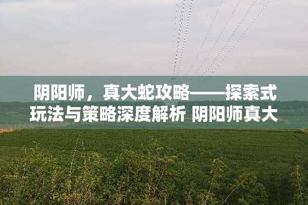 *阳师，真大蛇攻略——探索式玩法与策略深度解析*阳师真大蛇攻略