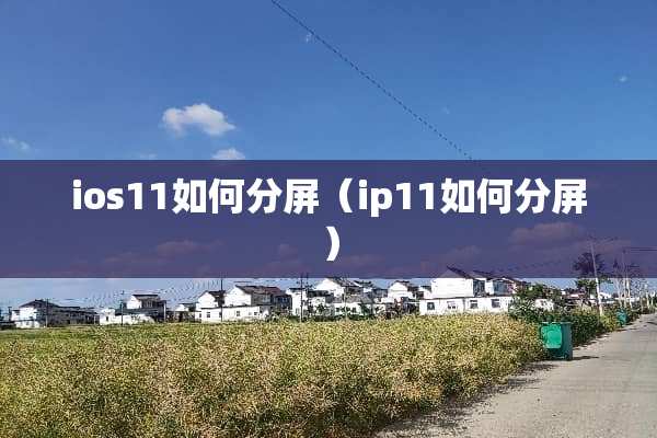 ios11如何分屏（ip11如何分屏）