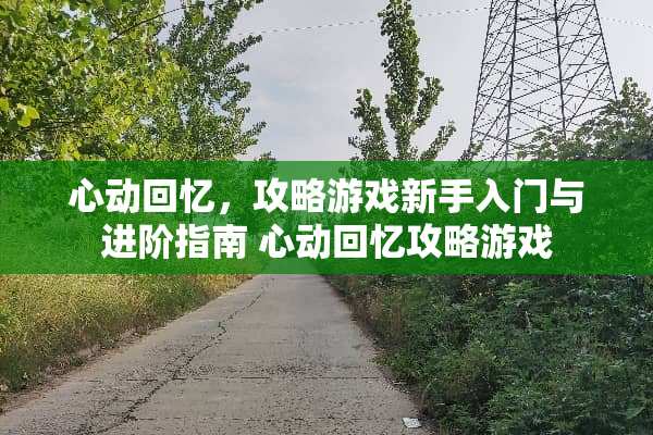 心动回忆，攻略游戏新手入门与进阶指南 心动回忆攻略游戏