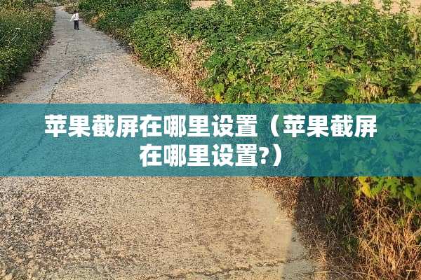 苹果截屏在哪里设置（苹果截屏在哪里设置?）