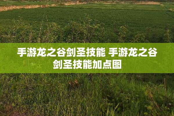 手游龙之谷剑圣技能 手游龙之谷剑圣技能加点图
