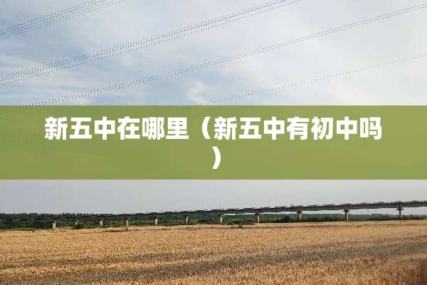 新五中在哪里（新五中有初中吗）