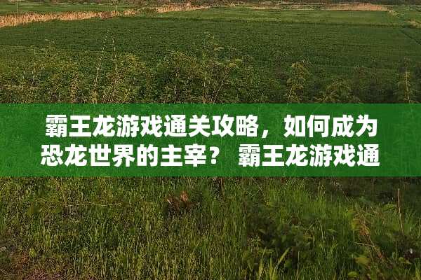 **龙游戏通关攻略,如何成为恐龙世界的主宰?**龙游戏通关攻略 **龙游戏通关攻略,如何成为恐龙世界的主宰?**龙游戏通关攻略