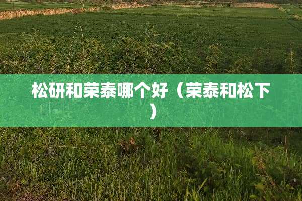 松研和荣泰哪个好（荣泰和松下）