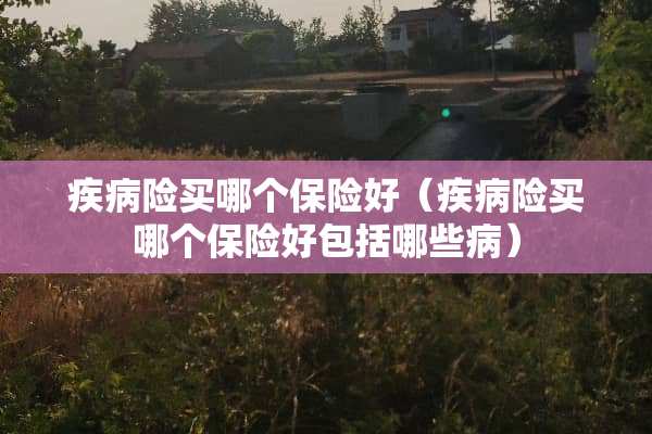 疾病险买哪个保险好（疾病险买哪个保险好包括哪些病）