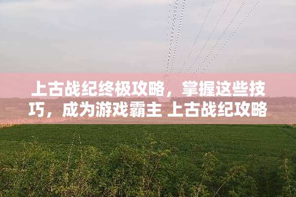 上古战纪终极攻略，掌握这些技巧，成为游戏霸主 上古战纪攻略
