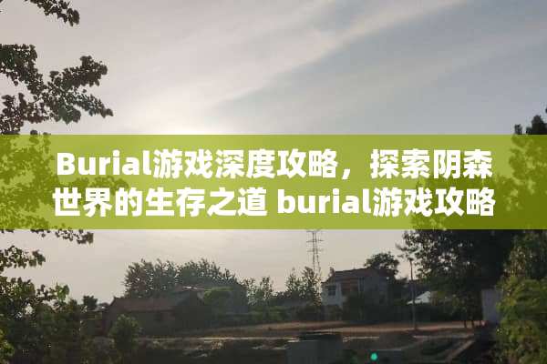Burial游戏深度攻略，探索*森世界的生存之道 burial游戏攻略