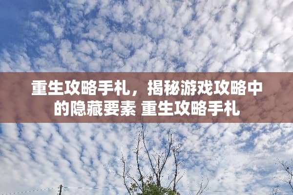 重生攻略手札，揭秘游戏攻略中的隐藏要素 重生攻略手札