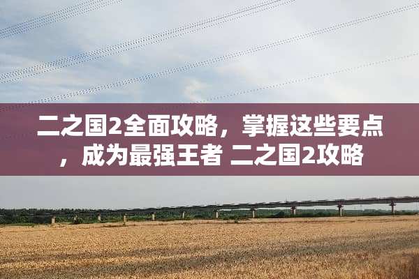 二之国2全面攻略，掌握这些要点，成为最强王者 二之国2攻略