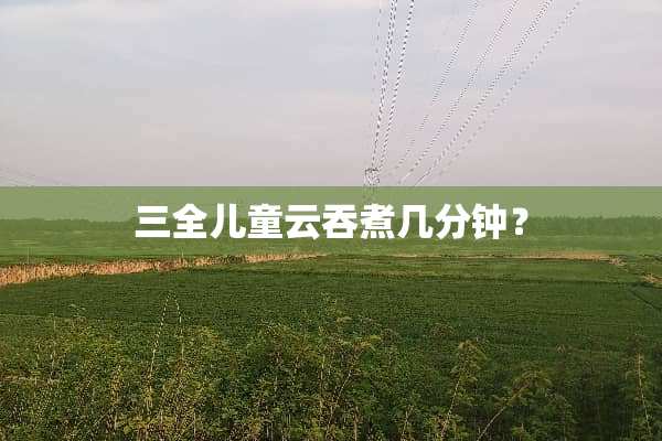 三全儿童云吞煮几分钟？