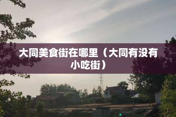 大同美食街在哪里（大同有没有小吃街）