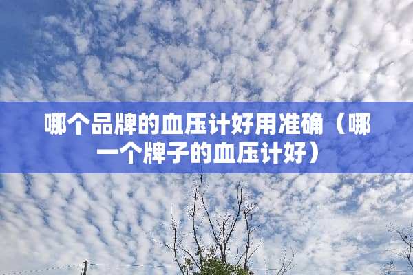 哪个品牌的血压计好用准确（哪一个牌子的血压计好）
