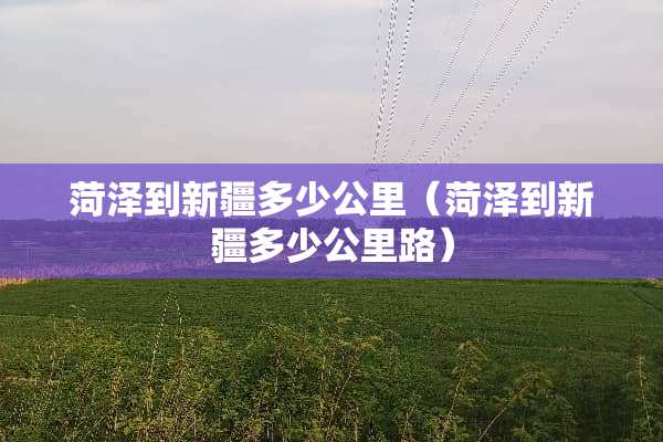 菏泽到新疆多少公里（菏泽到新疆多少公里路）