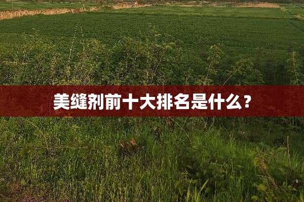 美缝剂前十大排名是什么？