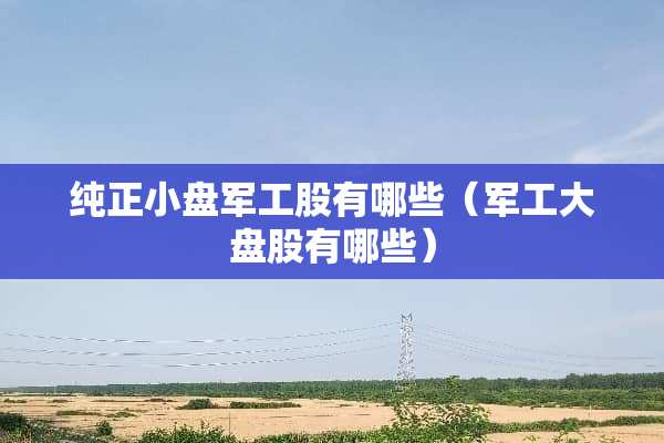 纯正小盘军工股有哪些（军工大盘股有哪些）