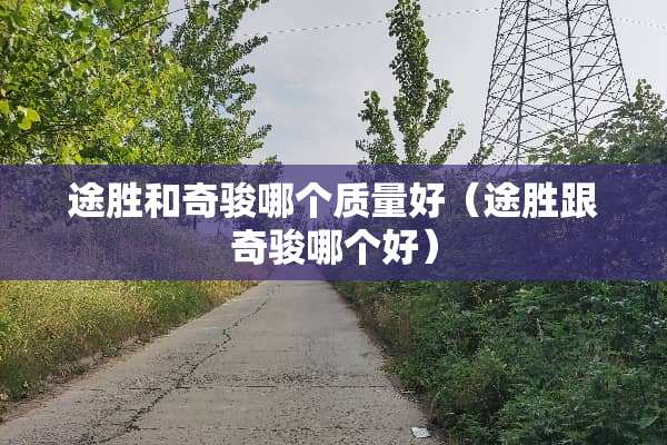 途胜和奇骏哪个质量好（途胜跟奇骏哪个好）