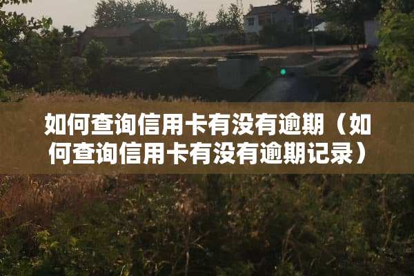 如何查询***有没有逾期（如何查询***有没有逾期记录）