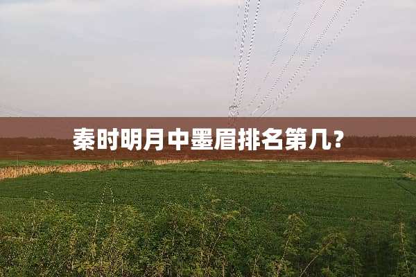 秦时明月中墨眉排名第几？