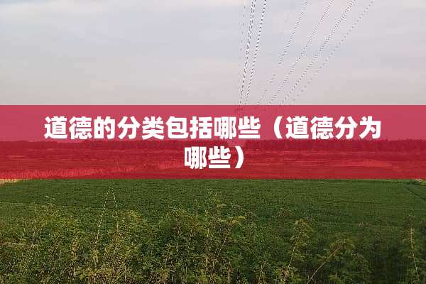 道德的分类包括哪些（道德分为哪些）