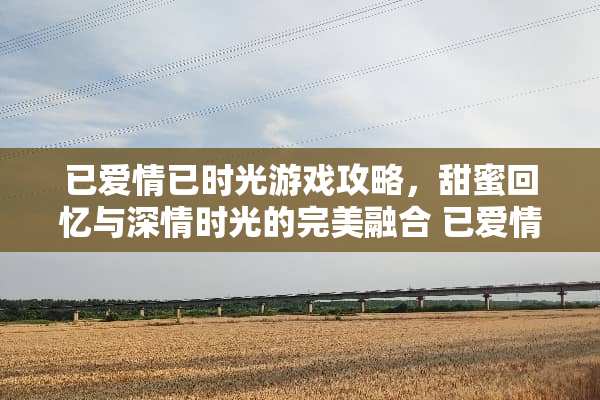 已爱情已时光游戏攻略，甜蜜回忆与深情时光的完美融合 已爱情已时光游戏攻略