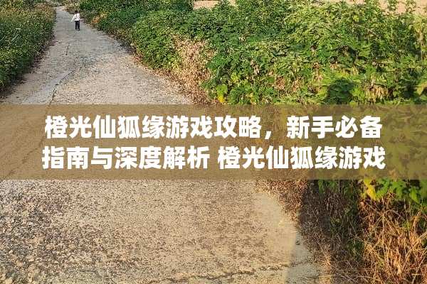 橙光仙狐缘游戏攻略，新手必备指南与深度解析 橙光仙狐缘游戏攻略