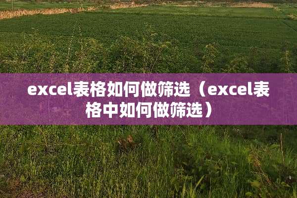 excel表格如何做筛选（excel表格中如何做筛选）