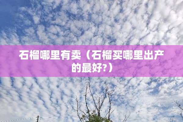 石榴哪里有卖（石榴买哪里出产的最好?）