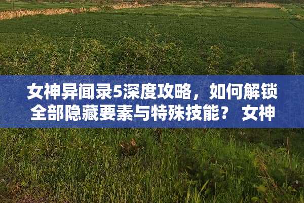 女神异闻录5深度攻略，如何解锁全部隐藏要素与特殊技能？ 女神异闻录5攻略