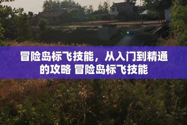 冒险岛标飞技能，从入门到精通的攻略 冒险岛标飞技能