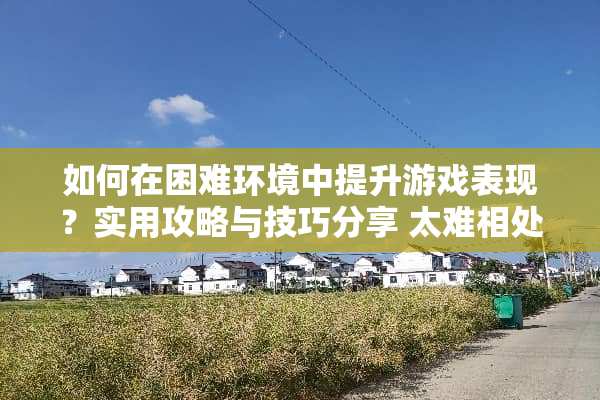 如何在困难环境中提升游戏表现？实用攻略与技巧分享 太难相处攻略