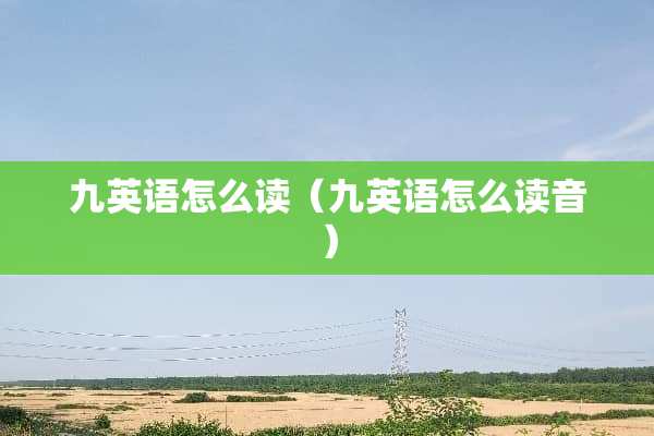 九英语怎么读（九英语怎么读音）