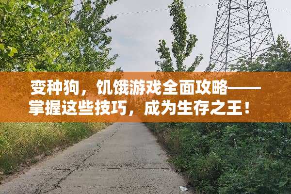 变种狗，饥饿游戏全面攻略——掌握这些技巧，成为生存之王！ 变种狗饥饿游戏攻略