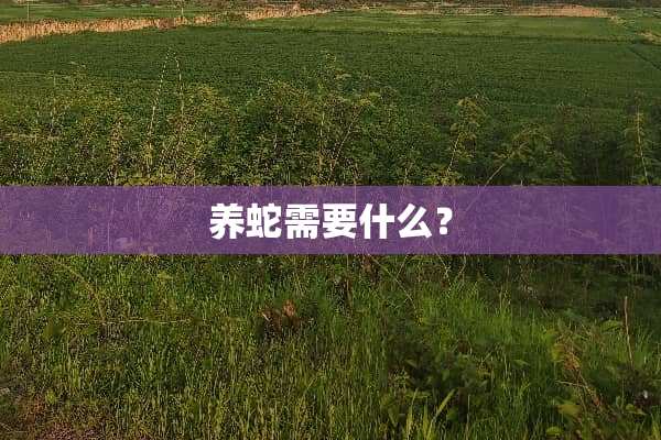 养蛇需要什么？