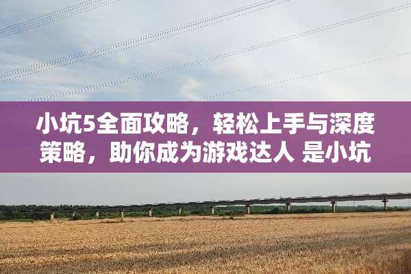 小坑5全面攻略，轻松上手与深度策略，助你成为游戏达人 是小坑5攻略