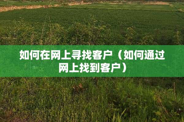 如何在网上寻找客户（如何通过网上找到客户）
