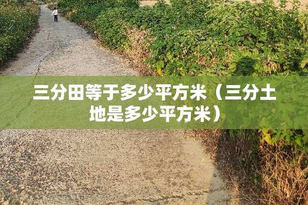 三分田等于多少平方米（三分土地是多少平方米）