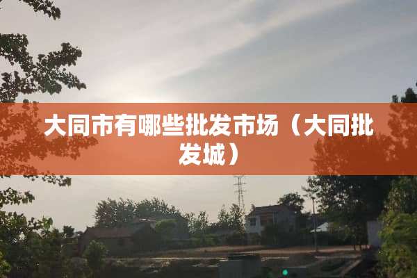 大同市有哪些批发市场（大同批发城）