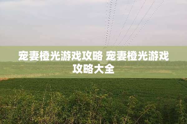宠妻橙光游戏攻略 宠妻橙光游戏攻略大全