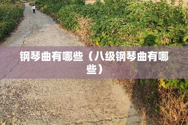 钢琴曲有哪些（八级钢琴曲有哪些）