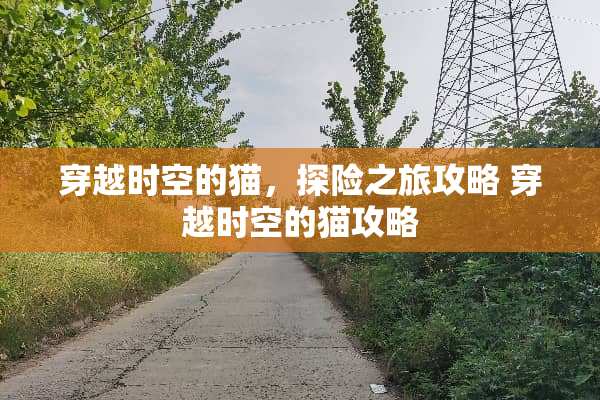 穿越时空的猫，探险之旅攻略 穿越时空的猫攻略