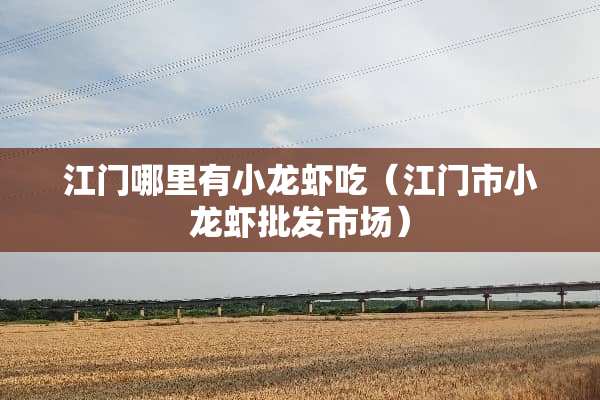 江门哪里有小龙虾吃（江门市小龙虾批发市场）