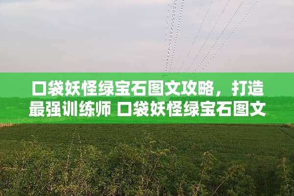 口袋妖怪绿宝石图文攻略，打造最强训练师 口袋妖怪绿宝石图文攻略