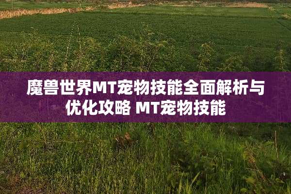 魔兽世界MT宠物技能全面解析与优化攻略 MT宠物技能